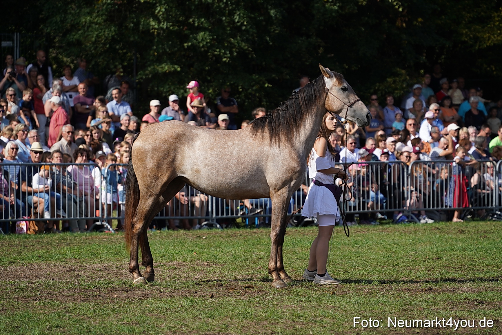 Pferde und Fohlenschau 2022 0142 